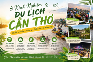 thị trường thuê xe Cần Thơ